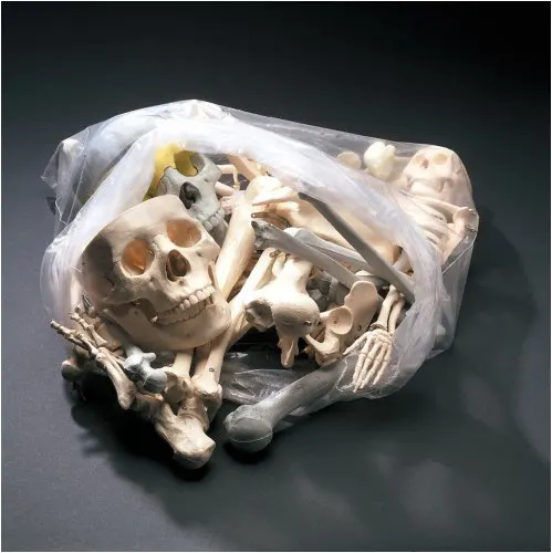 Bag of Bones