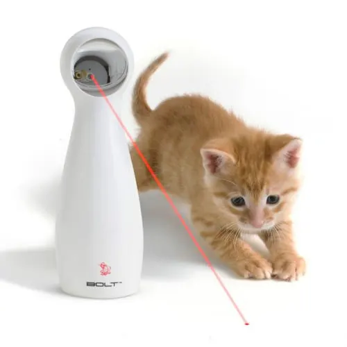 Hours of fun for your cat