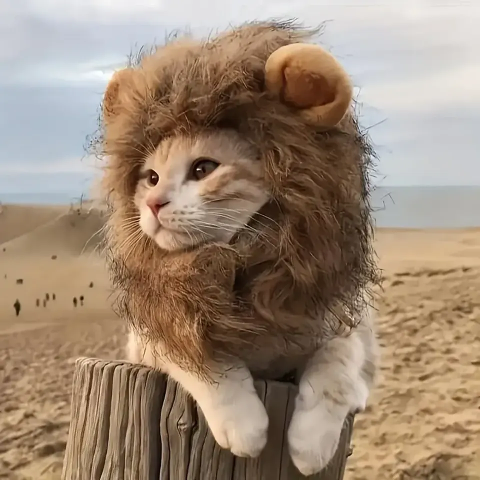 The Lion Mane Cat Wig Requires No Batteries