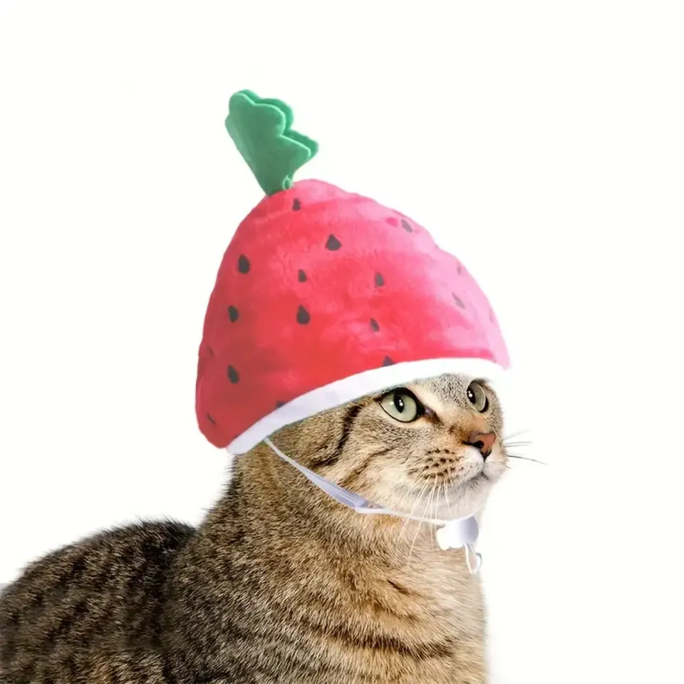 The Watermelon Cat Helmet Comes in One Size and Also Three