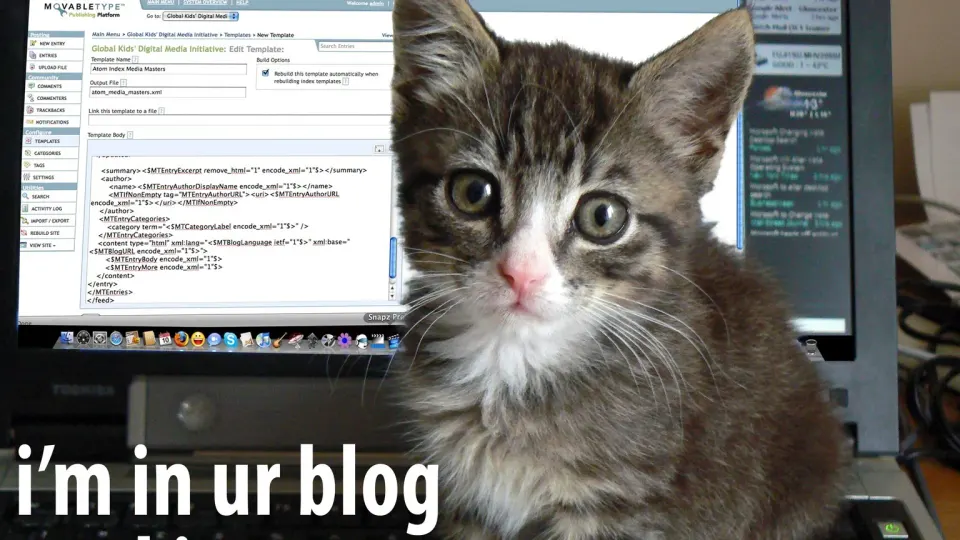 A lolcat: a cat photograph captioned in the broken English of the image macro era